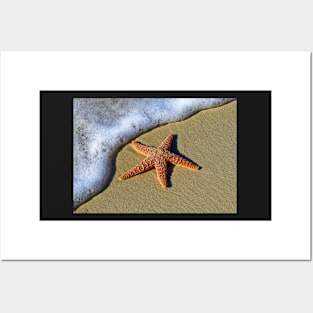 STARFISH ON THE BEACH DESIGN Posters and Art